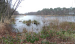 Molenven